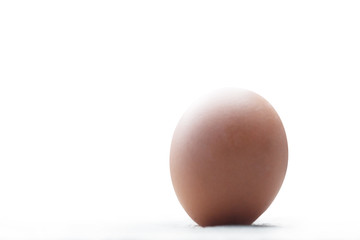 close up of single chicken egg