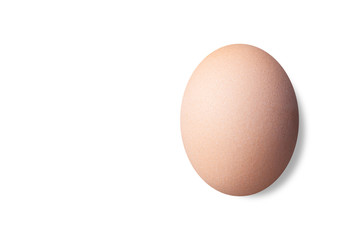 close up of single chicken egg