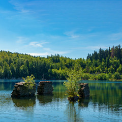 Bergsee 12