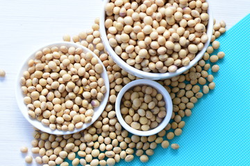 Raw soybeans (Glycine max) displayed in containers