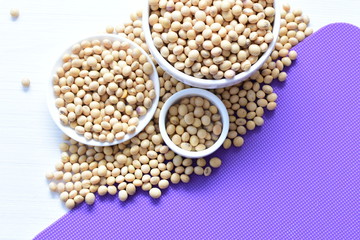 Raw soybeans (Glycine max) displayed in containers