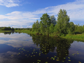 Fototapeta premium The old channel of the Vychegda river against a blue sky with clouds , Komi Republic, Russia