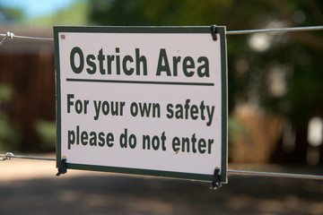 warning sign on ostrich farm in oudtshoorn, south africa