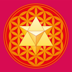 Star tetrahedron, Merkaba, in the Flower of Life