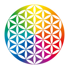 Rainbow colored inverted Flower of Life. Geometrical figure, spiritual symbol and Sacred Geometry. Overlapping circles forming a flower like pattern with symmetrical structure. Illustration. Vector.
