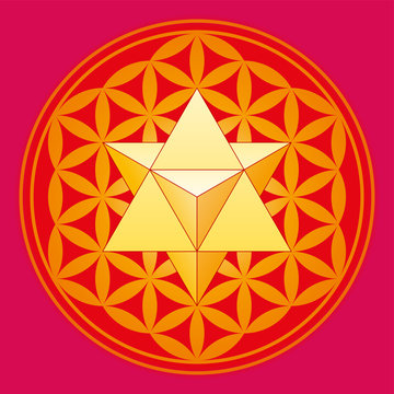 Star Tetrahedron, Merkaba, In The Flower Of Life