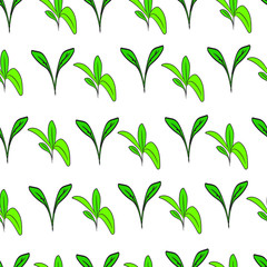 Various sprouts on a white background. Small plants, seedlings seamless pattern. For fabric, print, wallpaper, site.