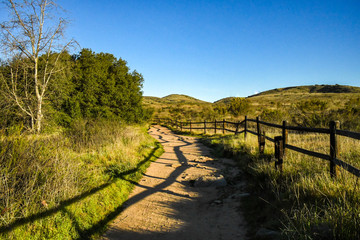 Fototapeta na wymiar Rail Fence Shadows on Oak Canyon Trail