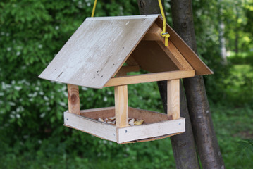 Bird house in a tree park.