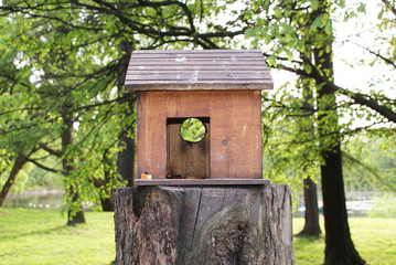 Bird house in a tree park.