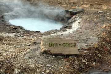 Geysers