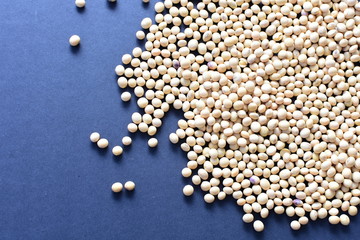Raw soybeans (Glycine max) displayed in containers