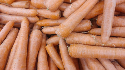 Carrots on market