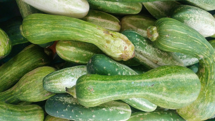 Green pumpkin