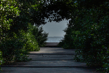 Path in the beach