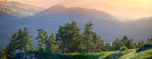 Trees and mountain slopes in the sunset light, panorama landscape