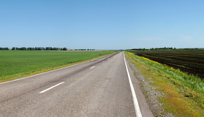 Road among green meadows and arable land, blue sky