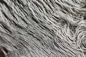 Textura madera 4