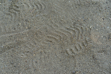Fototapeta na wymiar Backgrounds Textures Shoe marks man on the sand