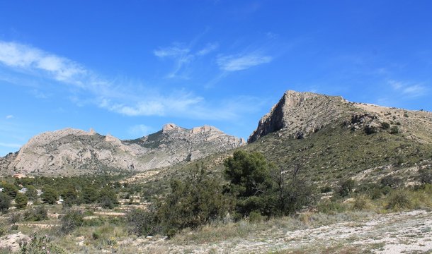 Colosos