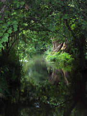 Monet's Garden in Giverny, France