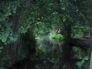 Monet's Japanese Garden in Giverny, France