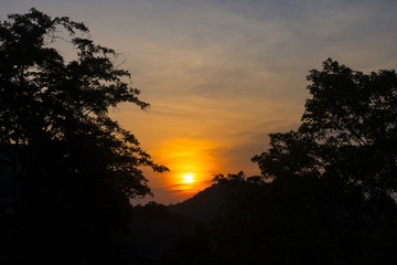 sunset silhouette with tree and sky background