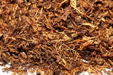 Rolling tobacco leaves macro background stock photography high quality prints