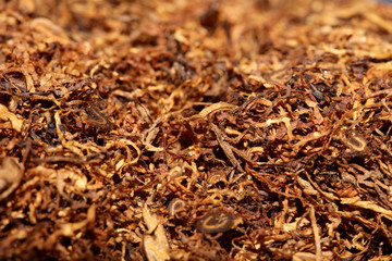 Rolling tobacco leaves macro background stock photography high quality prints