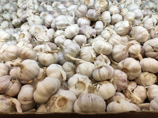 lots of white garlic on the store counter