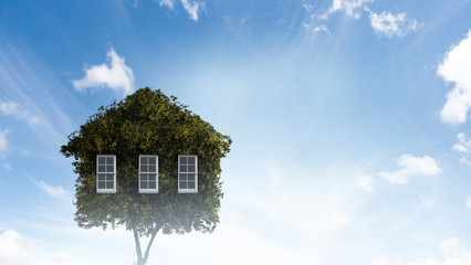 Little Eco House on the green grass