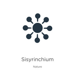 Sisyrinchium icon vector. Trendy flat sisyrinchium icon from nature collection isolated on white background. Vector illustration can be used for web and mobile graphic design, logo, eps10