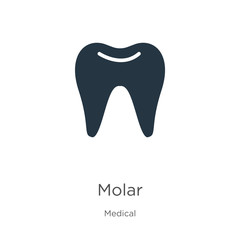 Molar icon vector. Trendy flat molar icon from medical collection isolated on white background. Vector illustration can be used for web and mobile graphic design, logo, eps10