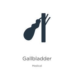 Gallbladder icon vector. Trendy flat gallbladder icon from medical collection isolated on white background. Vector illustration can be used for web and mobile graphic design, logo, eps10
