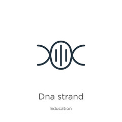 Dna strand icon vector. Trendy flat dna strand icon from education collection isolated on white background. Vector illustration can be used for web and mobile graphic design, logo, eps10