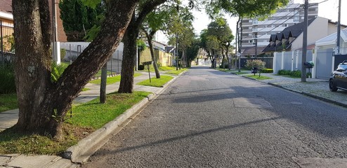 road in park