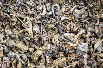 Green leaf tea for background. Dry leaves of the tip tree are crumpled into lumps and twisted into tubules.