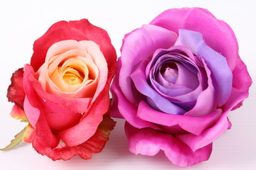 Artificial violet and red roses on white background