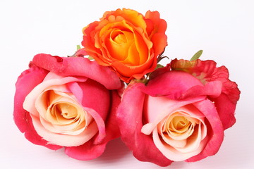 Artificial red roses on white background