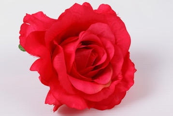 Artificial red rose on white background