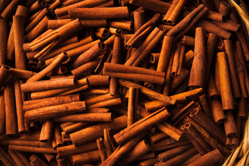Cinnamon sticks for sale at a market in Chefchaouen, Atlas mountains, Morocco