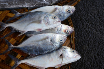 croaker fish Sell in fresh seafood market