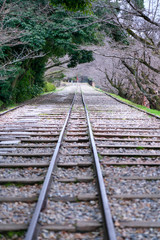 Obraz premium Kyoto,Japan-February 29, 2020: Perspective view of Empty Keage Incline in Kyoto in the morning 
