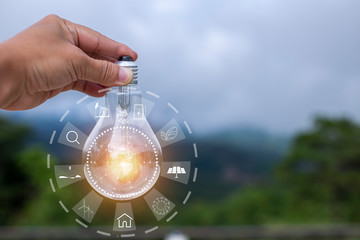 Light bulbs that grow, in the concept of energy in nature.