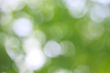 Bokeh green nature, Subtle background in abstract style for graphic design