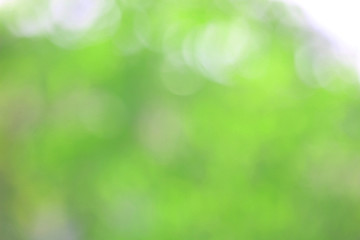 Plakat Bokeh green nature, Subtle background in abstract style for graphic design