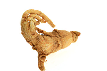 Ginseng on a white background