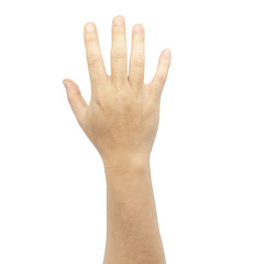 One long arm isolated on white background