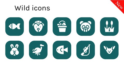 Modern Simple Set of wild Vector filled Icons