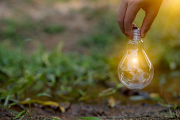 light bulb on green background